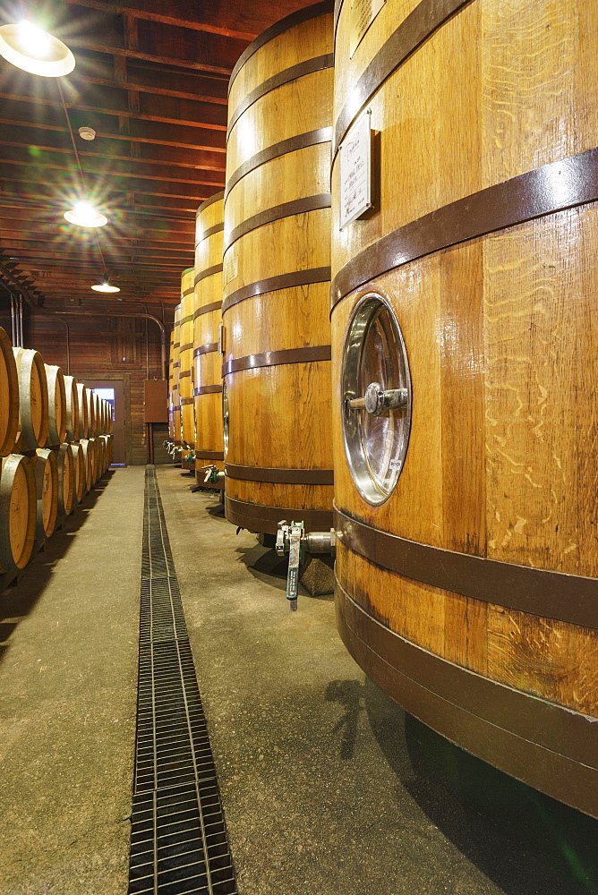 Close up of wine barrels in cellar, Napa, California, USA