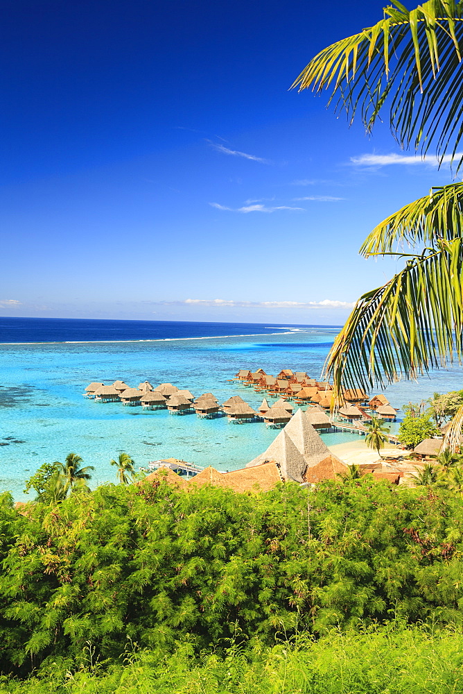 Palm trees overlooking tropical resort, Bora Bora, French Polynesia, Bora Bora, Bora Bora, French Polynesia