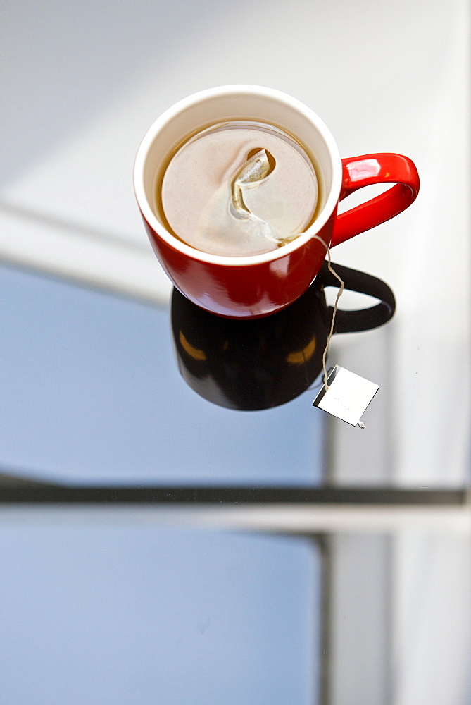 Tea steeping in mug on glass table, Rijswijk, Netherlands, Netherlands