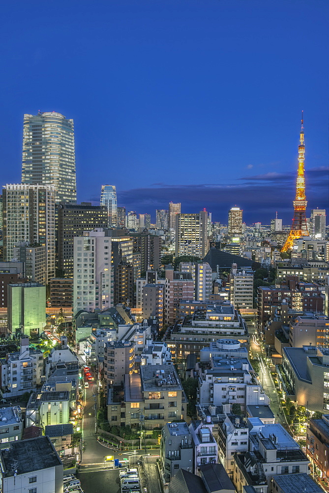 Tokyo cityscape lit up at night, Tokyo, Japan