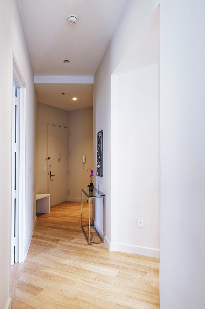 Hallway of modern house