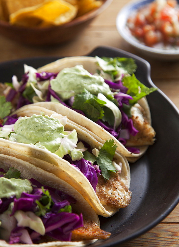 Close up of taco plate, Seattle, Washington, USA