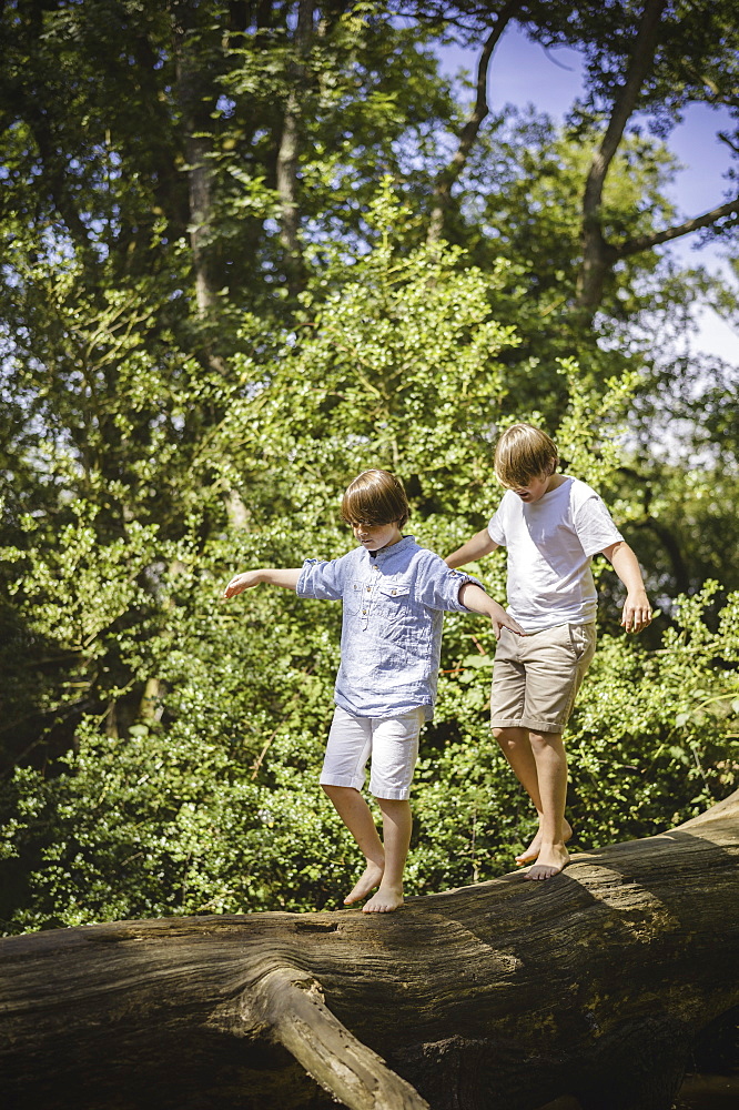 Two boys camping in the New Forest. Walking along a log above the water, balancing with their arms outstretched, Hampshire, England