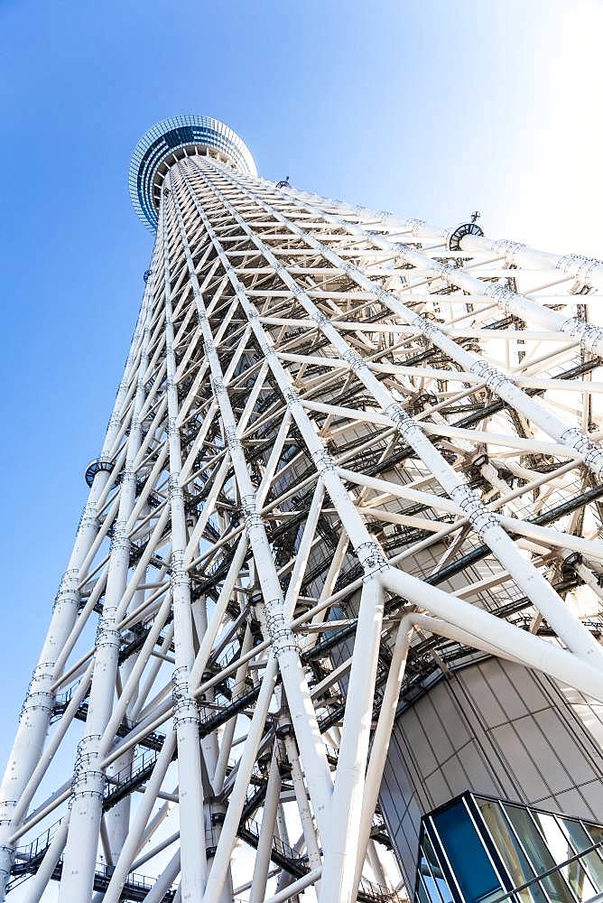 Low angle view of the framework of Tokyo Sky Tree, Tokyo, Japan