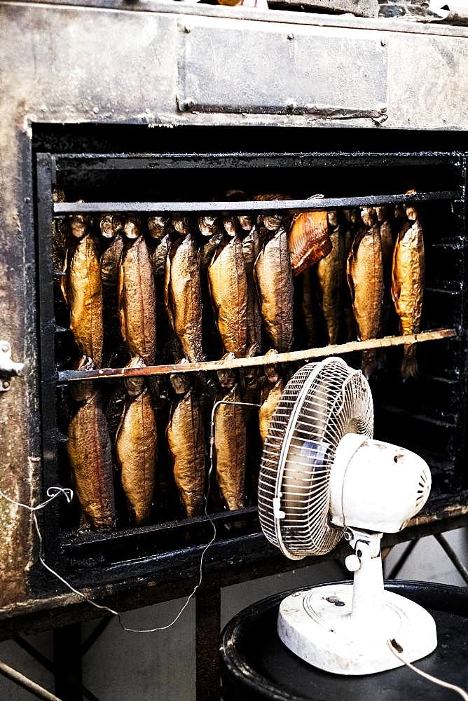 Close up of rows of freshly smoked whole trout in a smoker, white fan standing in front