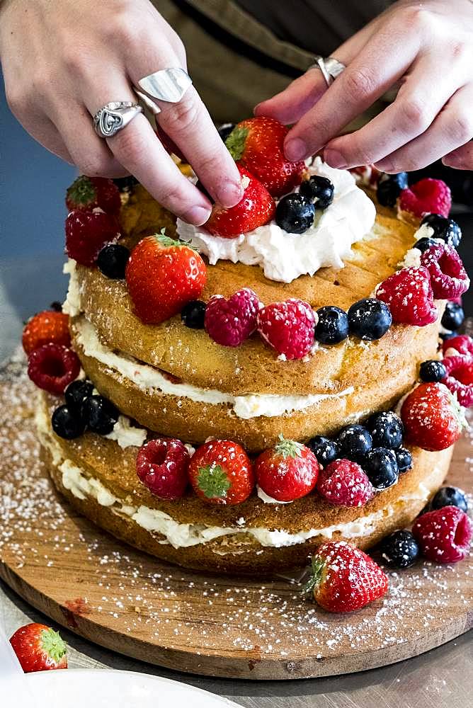 A woman cook assembling a layer cake with fresh cream and fresh fruit, strawberries and blueberries