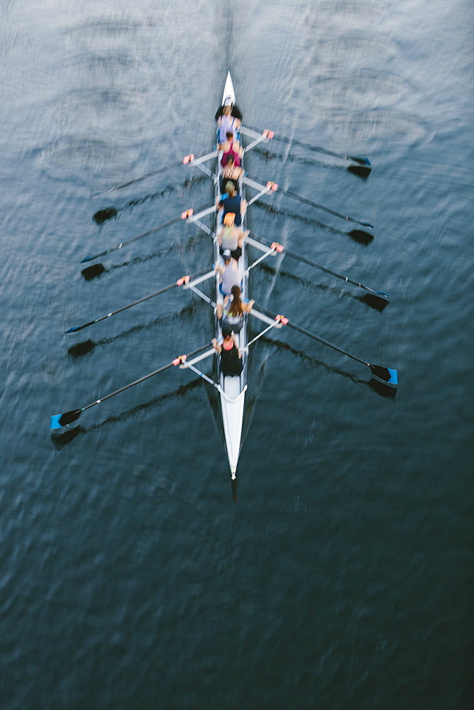 Female crew racers rowing, high angle view, Lake Union, Seattle, Washington, United States of America