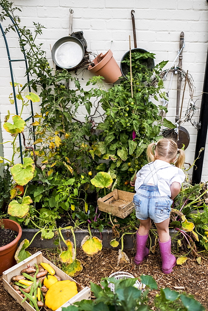 Rear view of blond girl standing in a garden, picking fresh vegetables