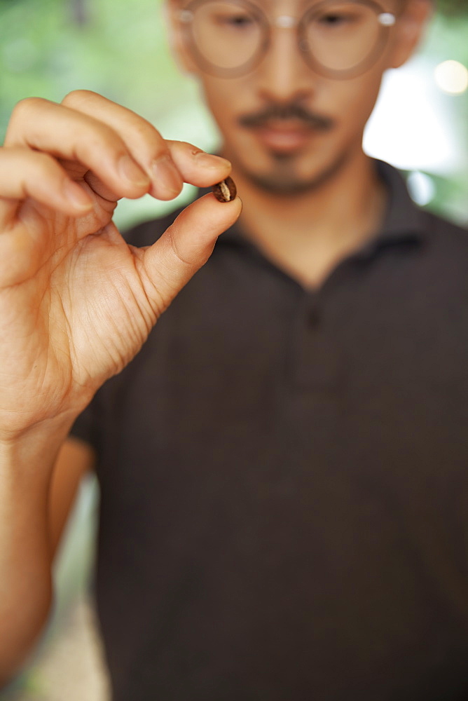 Close up of Japanese man holding roasted coffee bean, Kyushu, Japan