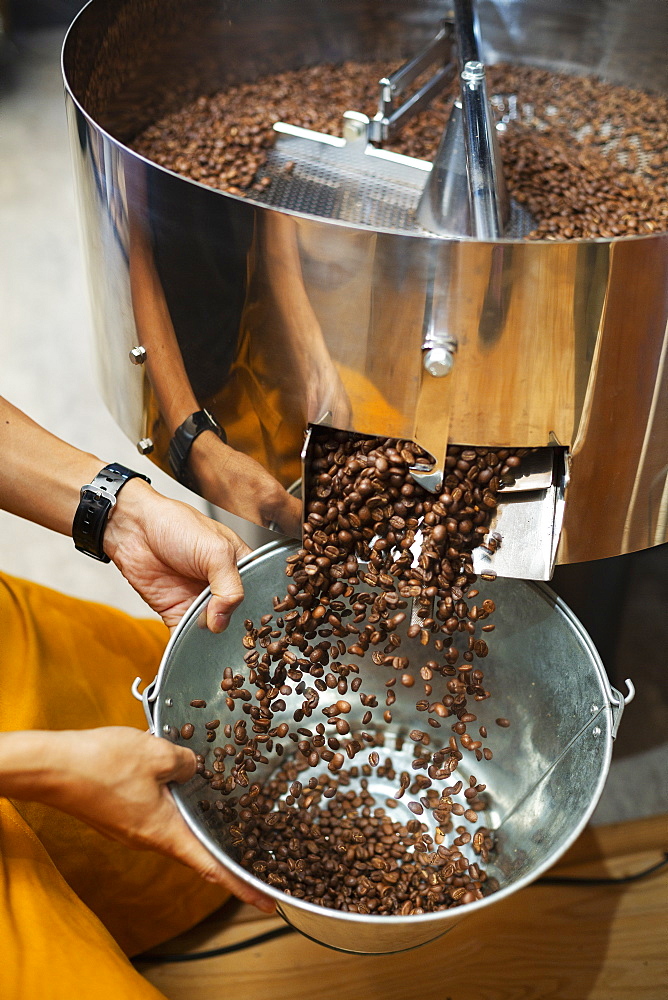 High angle close up of person holding metal bucket with freshly roasted coffee beans, Kyushu, Japan