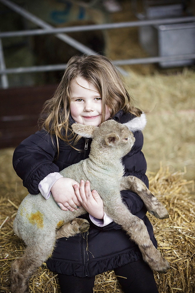 A girl holding a small new-born lamb, Wimborne, Dorset, England