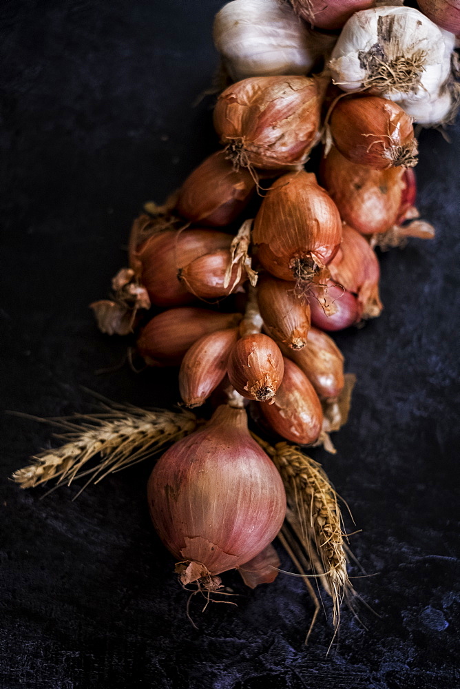 High angle close up of string of onions and garlic on black background, United Kingdom