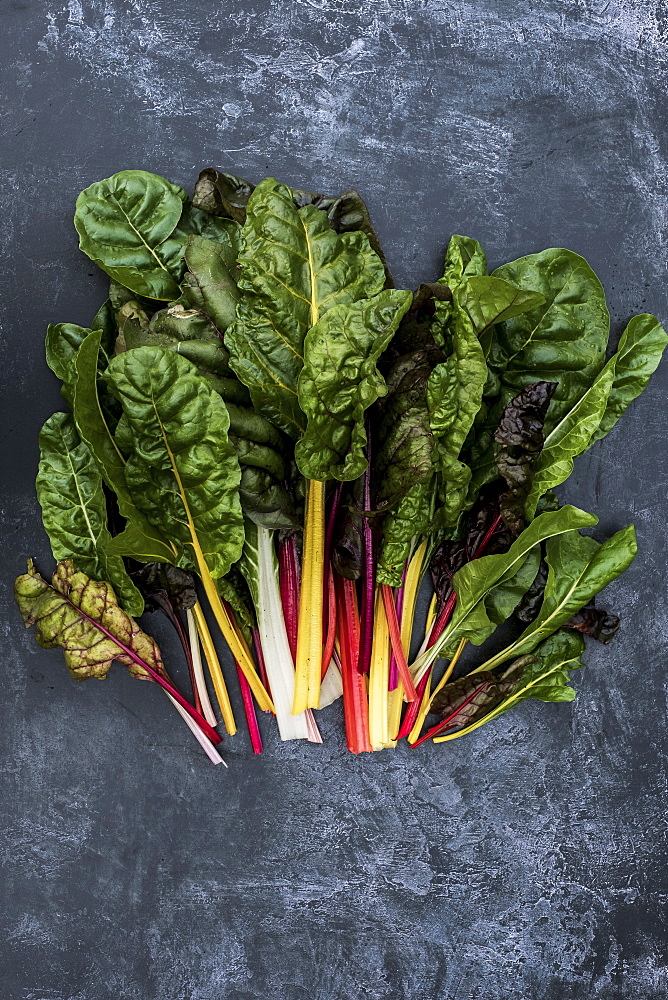 High angle close up of a bunch of freshly picked Swiss rainbow chard on grey background, Oxfordshire, United Kingdom