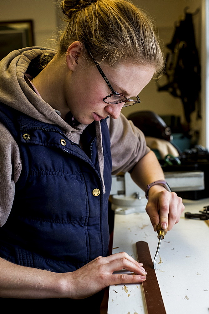 Female saddler standing in workshop, using hand tool on leather strap, Berkshire, United Kingdom