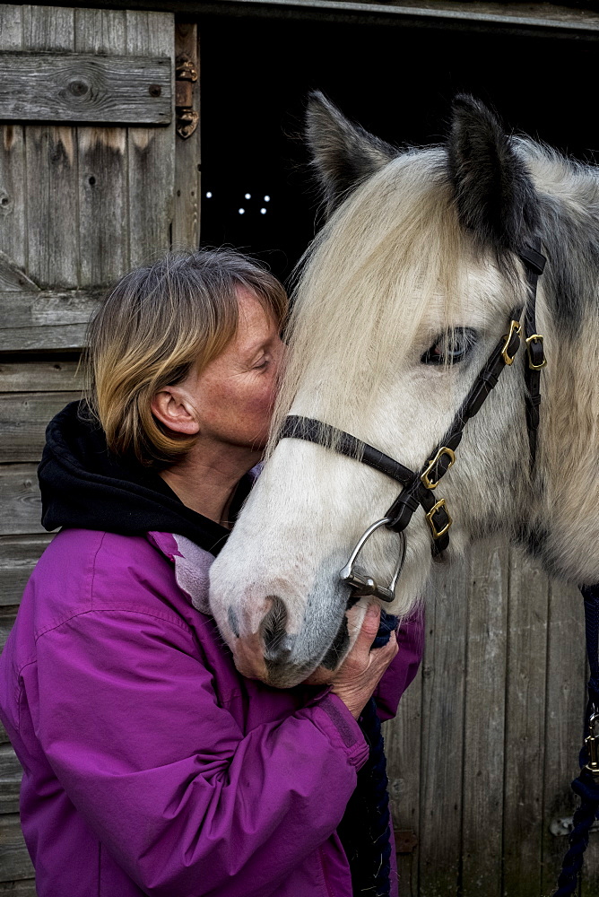 Woman standing outside stable, kissing white Cob horse, Berkshire, United Kingdom