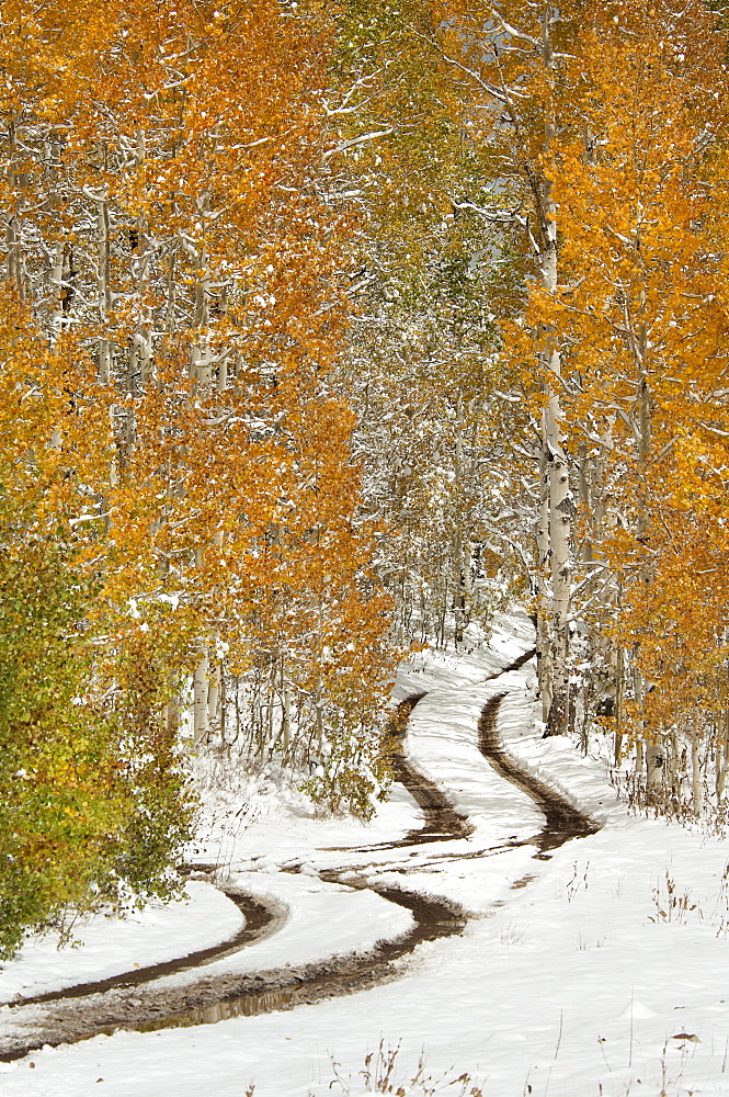 A road in the Uinta Mountains, with light snow on the ground, Uinta Mountains, Utah, USA