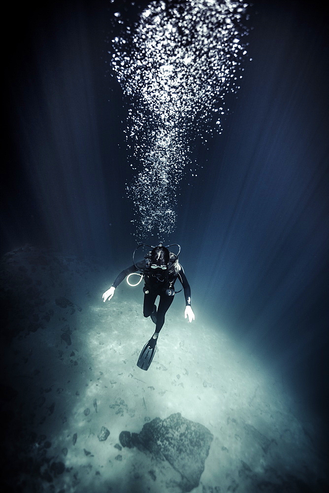 High angle underwater view of diver wearing wet suit and flippers, air bubbles rising, United States of America