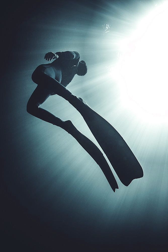 Low angle underwater view of diver wearing wet suit and flippers, sunlight filtering through from above, United States of America