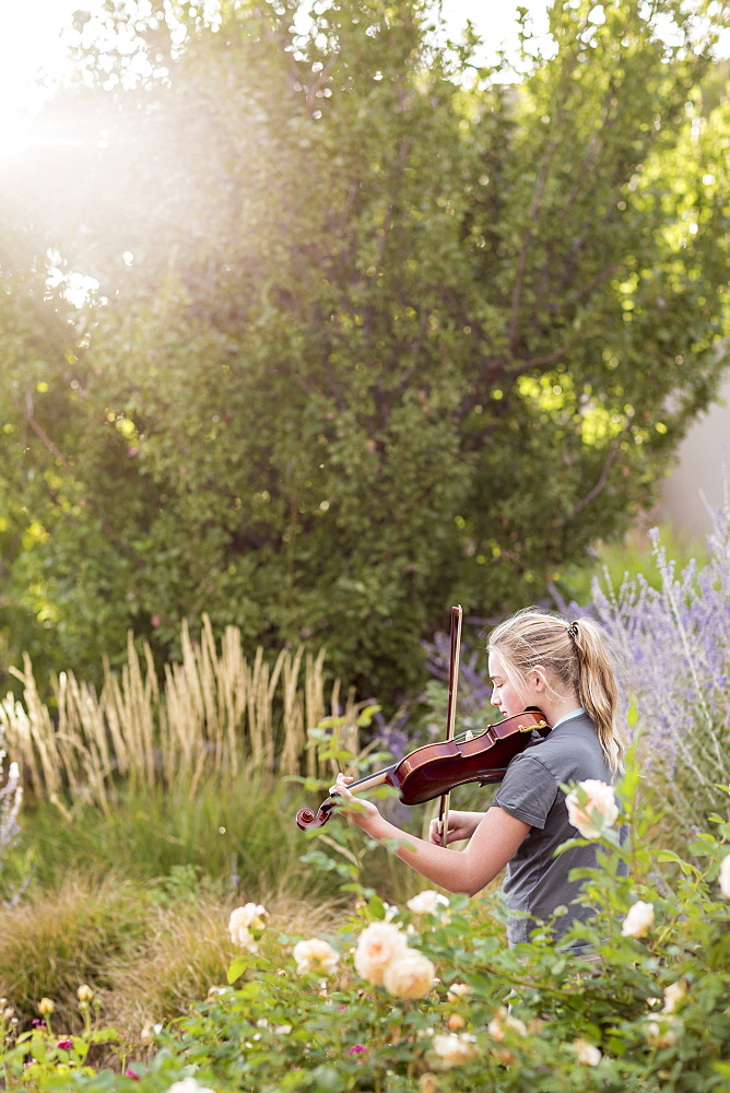 Teenage girl standing among flowering roses and shrubs playing a violin