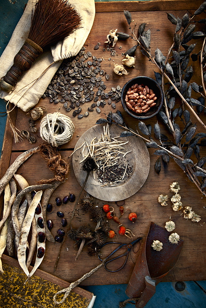 Collecting and storing the fruits of the garden for winter, dried seeds, herbs, nuts and vegetables. Seeds for the garden, Maryland, USA