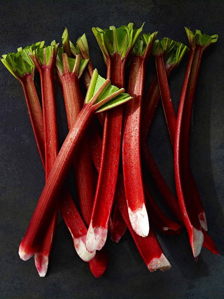 Sticks of fresh rhubarb with long pink stems, and cut leaves, Maryland, USA