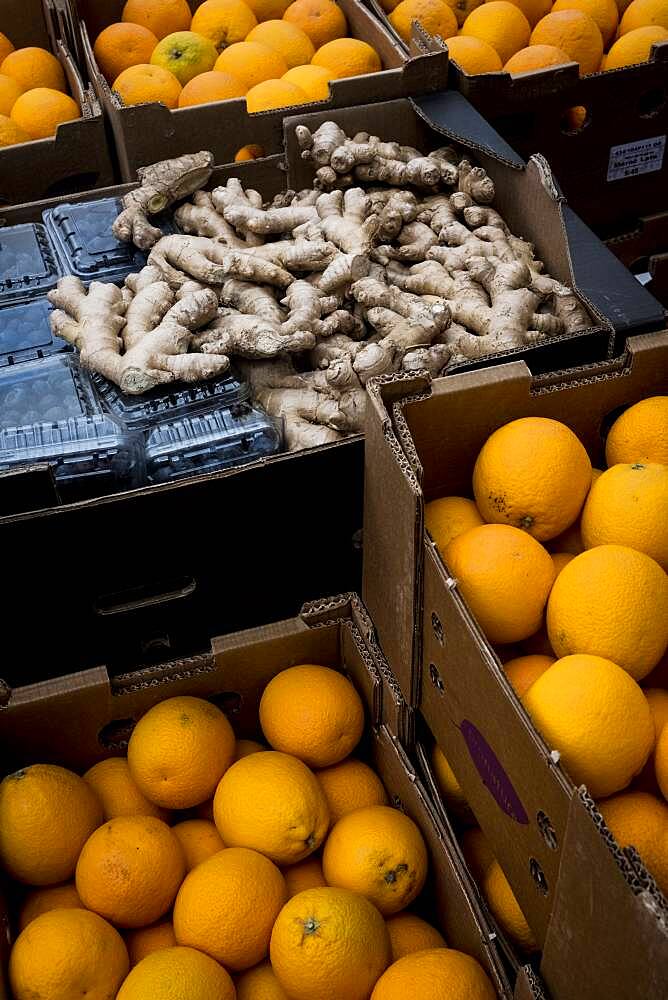 High angle close up of blueberries, fresh ginger and crates of oranges, Oxfordshire, United Kingdom