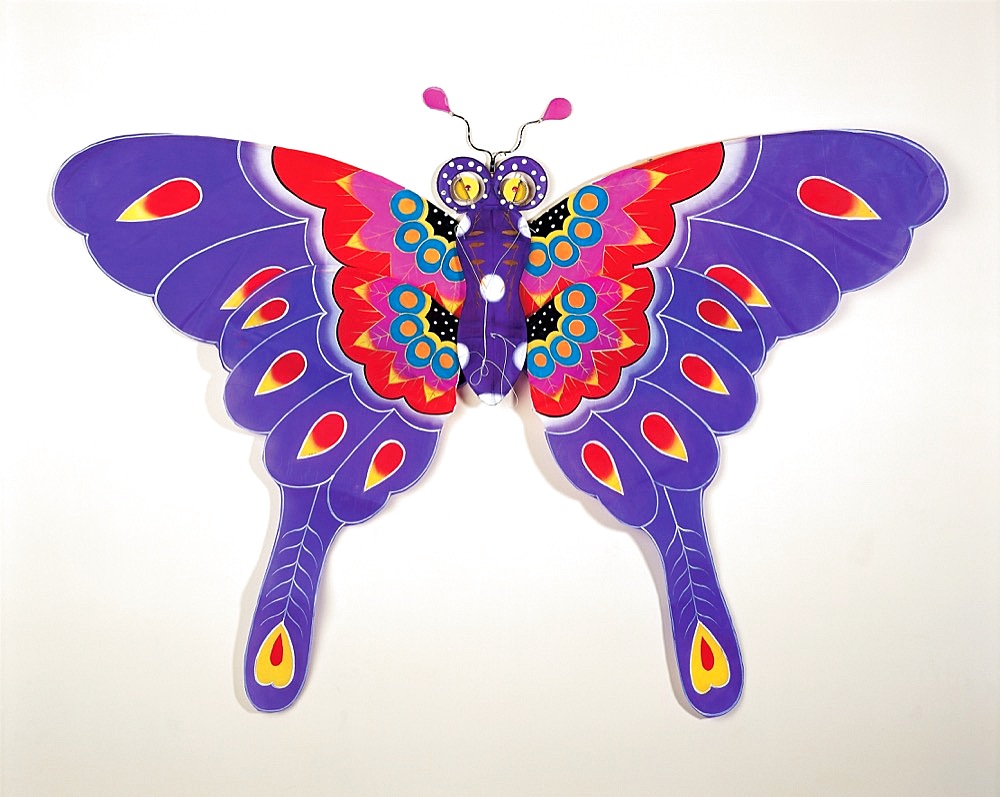 Kite in butterfly design