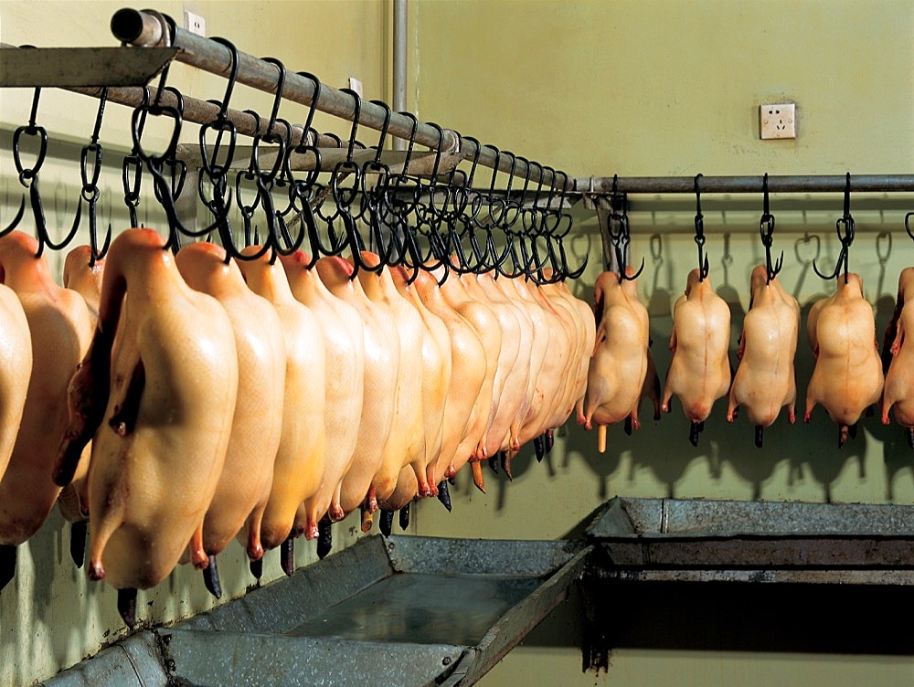 Air-drying the raw duck before roasted