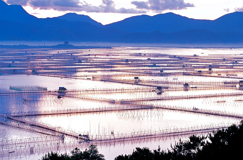 Fishing pond of Shanwei, Guangdong