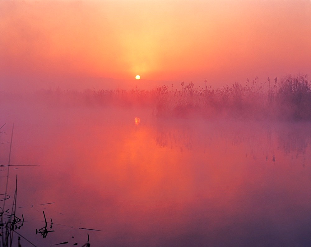 Yellow River wetland in Heyang, Shaanxi