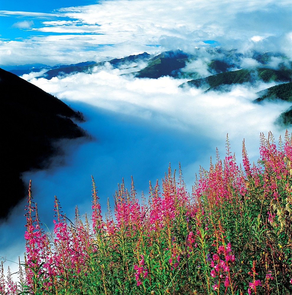 Aba, Sichuan