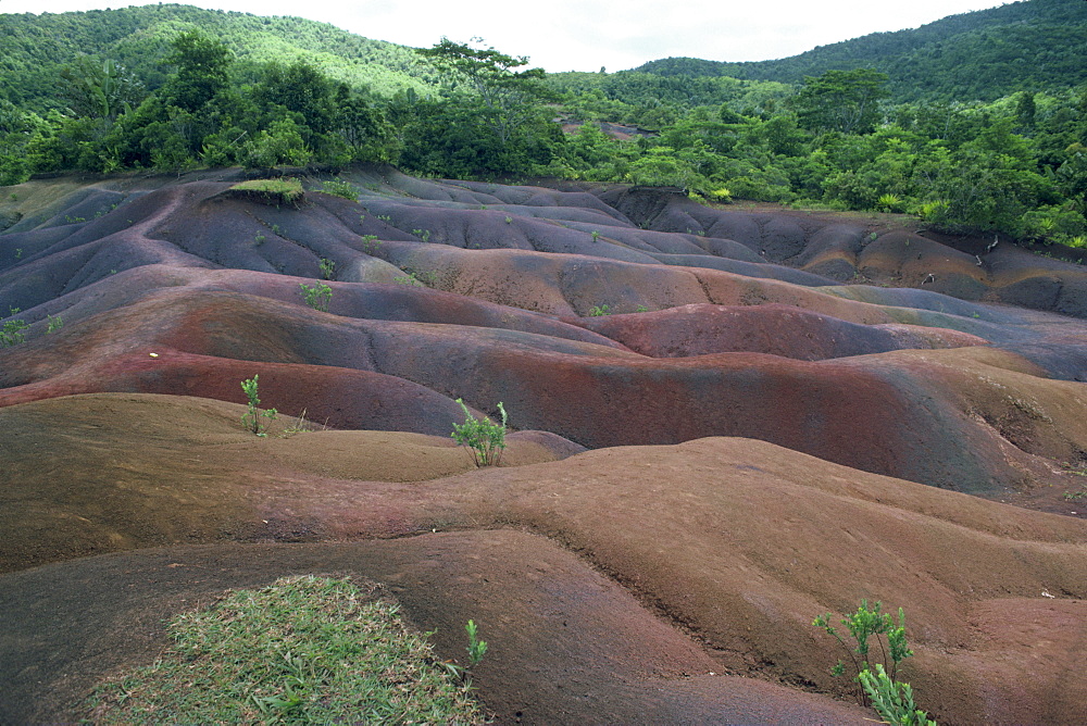 Coloured earth, Mauritius, Africa