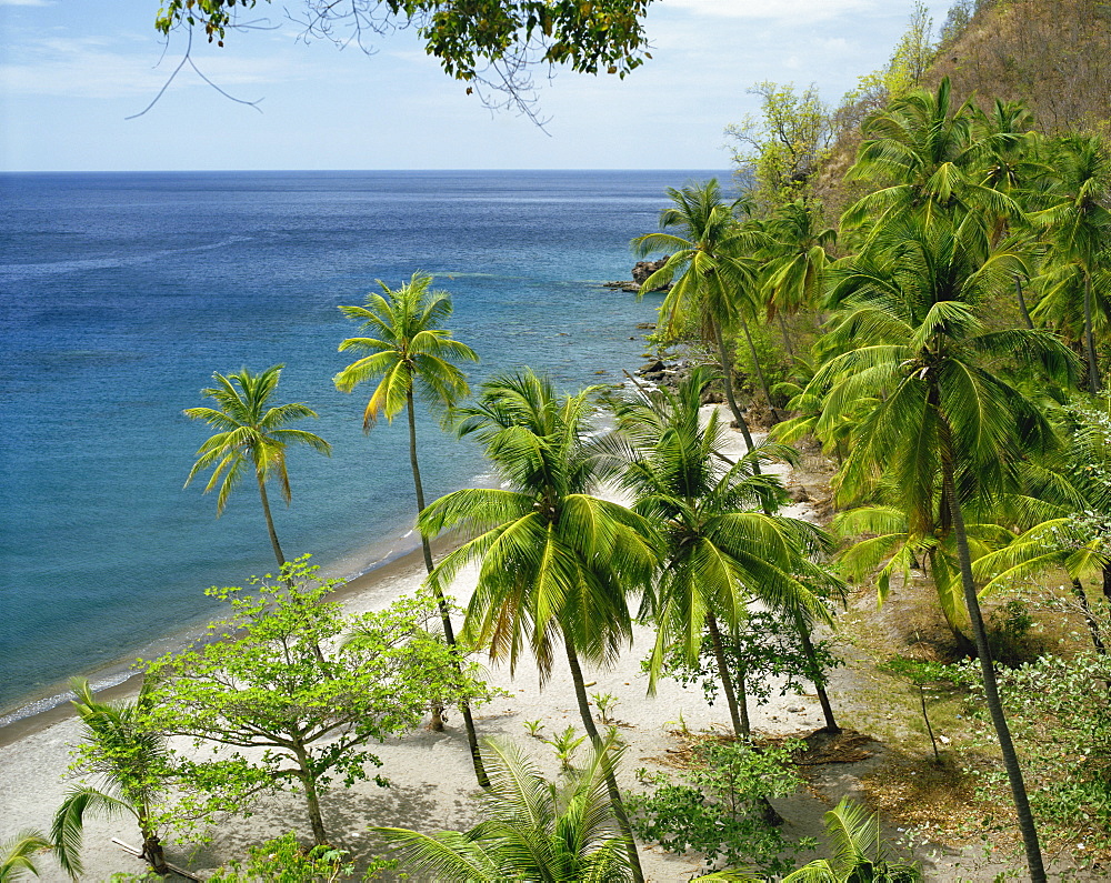 Anse Chastanet, near Soufriere, St. Lucia, Windward Islands, West Indies, Caribbean, Central America