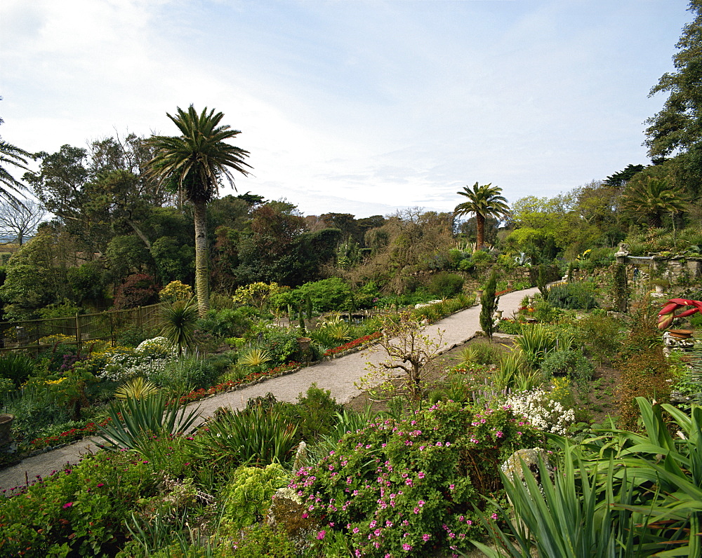 Abbey Gardens, Tresco, Isles of Scilly, United Kingdom, Europe