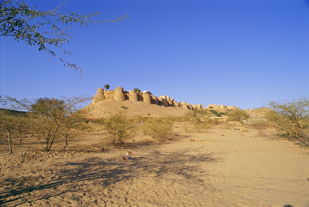 View of the fortified old city of Jaisalmer in the Thar Desert, Rajasthan, India