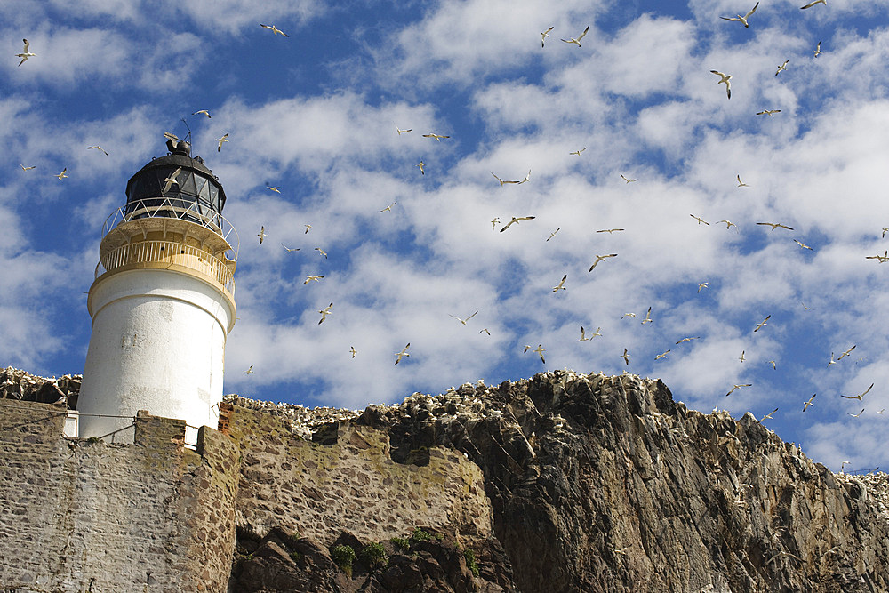 Bass Rock lighthouse. Firth of Forth, Scotland, UK