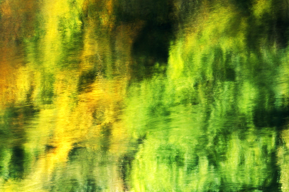 Autumnal reflections of trees in the River Wye, UK