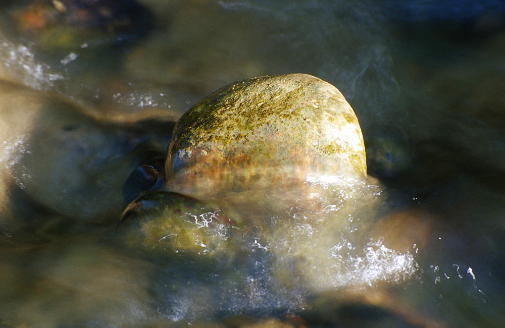 Pebble in stream, UK