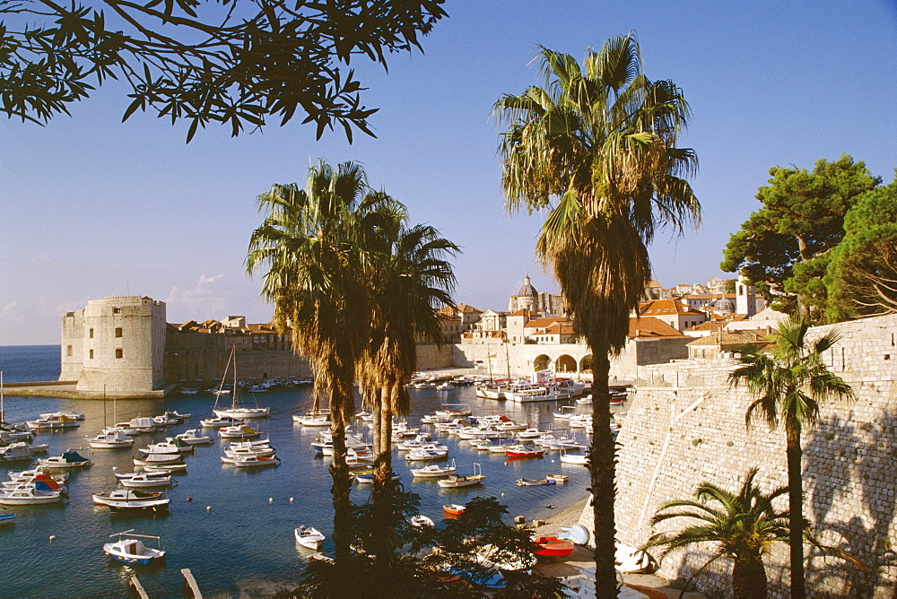 Dubrovnik, Adriatic coast, Croatia, Europe