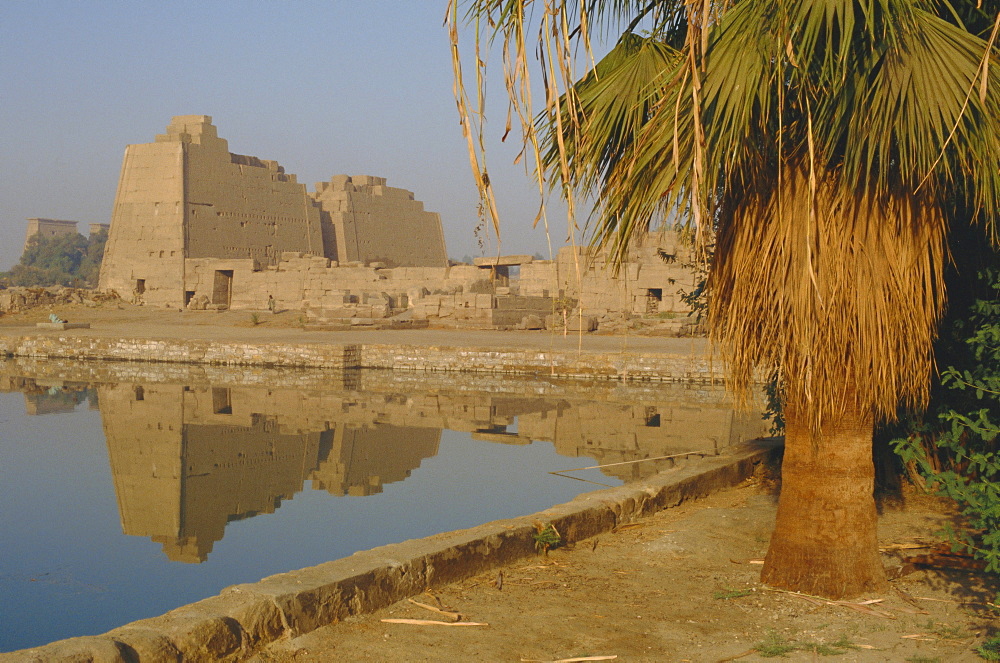 Sacred lake of Amun, precinct of Amun, Karnak, Luxor, Thebes, Egypt, North Africa, Africa