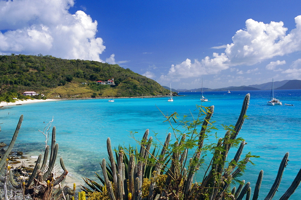 Jost Van Dyke island, British Virgin Islands, Caribbean, West Indies, Central America