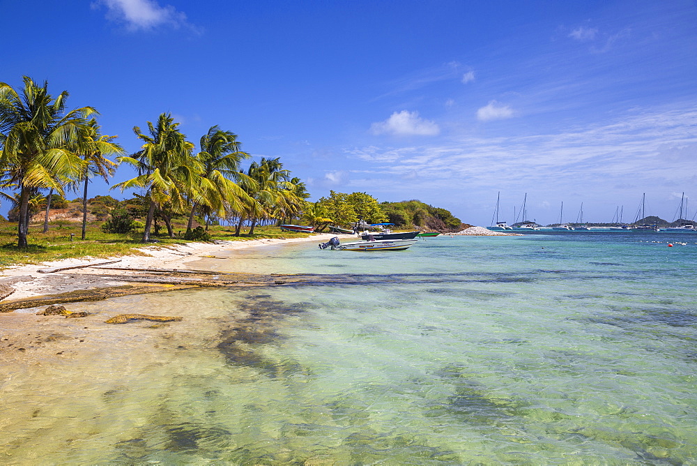 Clifton Harbour, Union Island, The Grenadines, St. Vincent and The Grenadines, West Indies, Caribbean, Central America