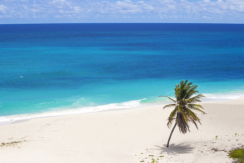 Foul Bay, Barbados, West Indies, Caribbean, Central America