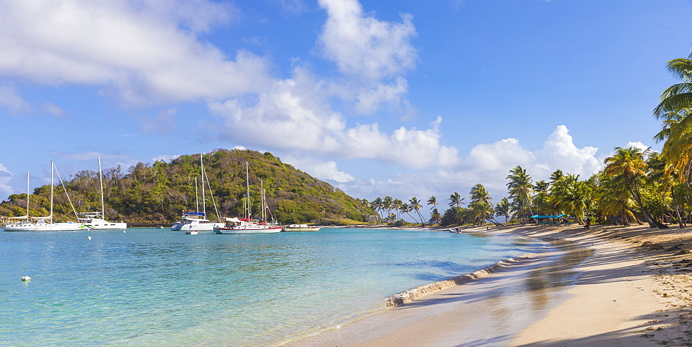 Saltwhistle Bay, Mayreau, The Grenadines, St. Vincent and The Grenadines, West Indies, Caribbean, Central America