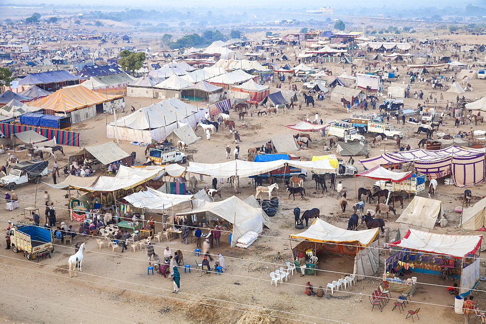 View of Pushkar Camel Fair, Pushkar, Rajasthan, India, Asia