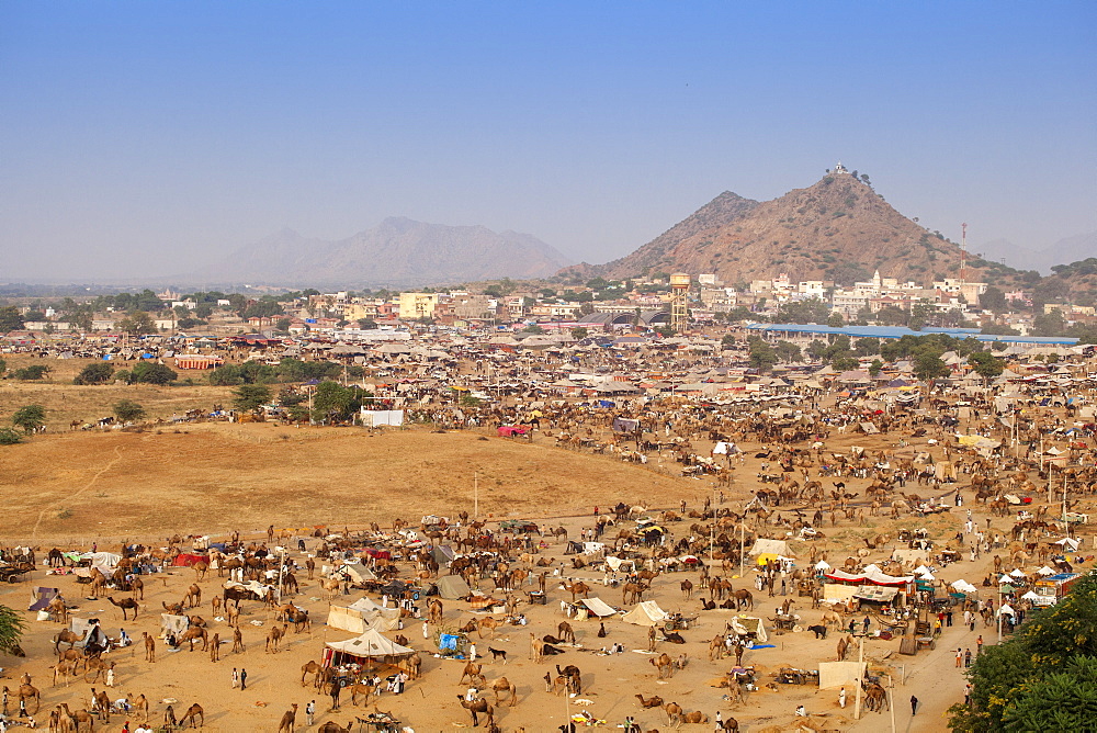 Aerial view of Pushkar Camel Fair, Pushkar, Rajasthan, India, Asia