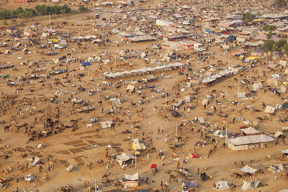 Aerial view of Pushkar Camel Fair, Pushkar, Rajasthan, India, Asia