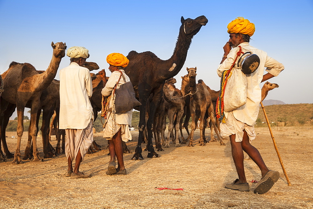 Pushkar Camel Fair, Pushkar, Rajasthan, India, Asia