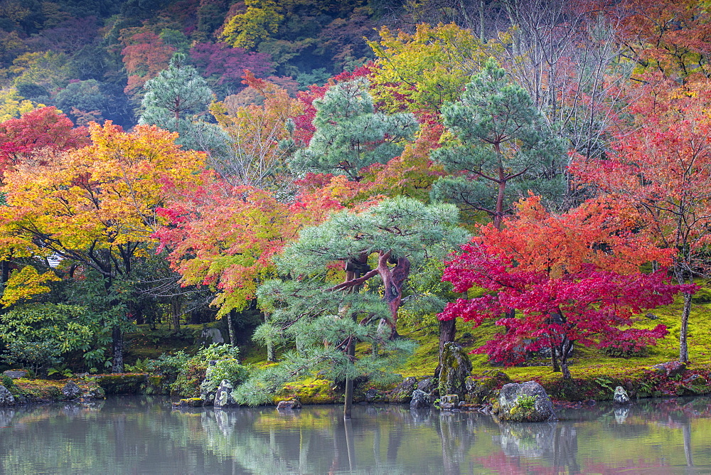 Tenryuji Temple, Sogen Garden, UNESCO World Heritage Site, Arashiyama, Kyoto, Japan, Asia