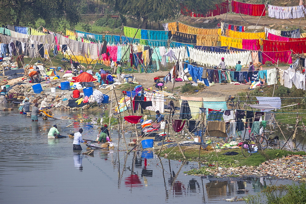 Laundry drying on banks of Gomti River, Lucknow, Uttar Pradesh, India, Asia